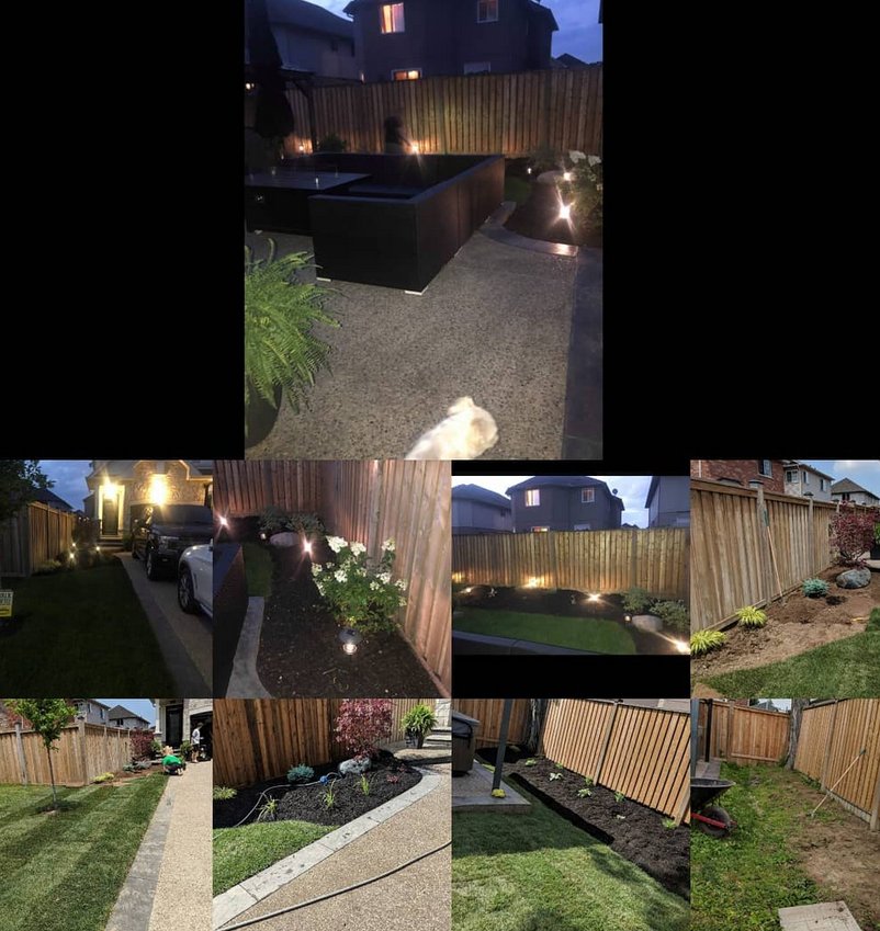 DL Landscaping landscaping work